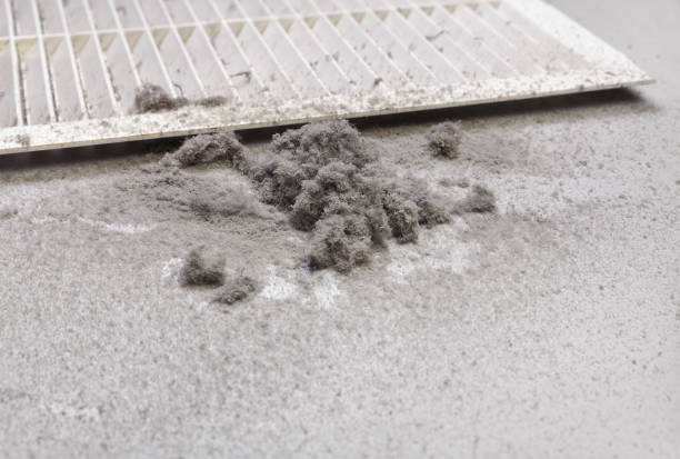 Best Residential Air Duct Cleaning  in Heath, TX